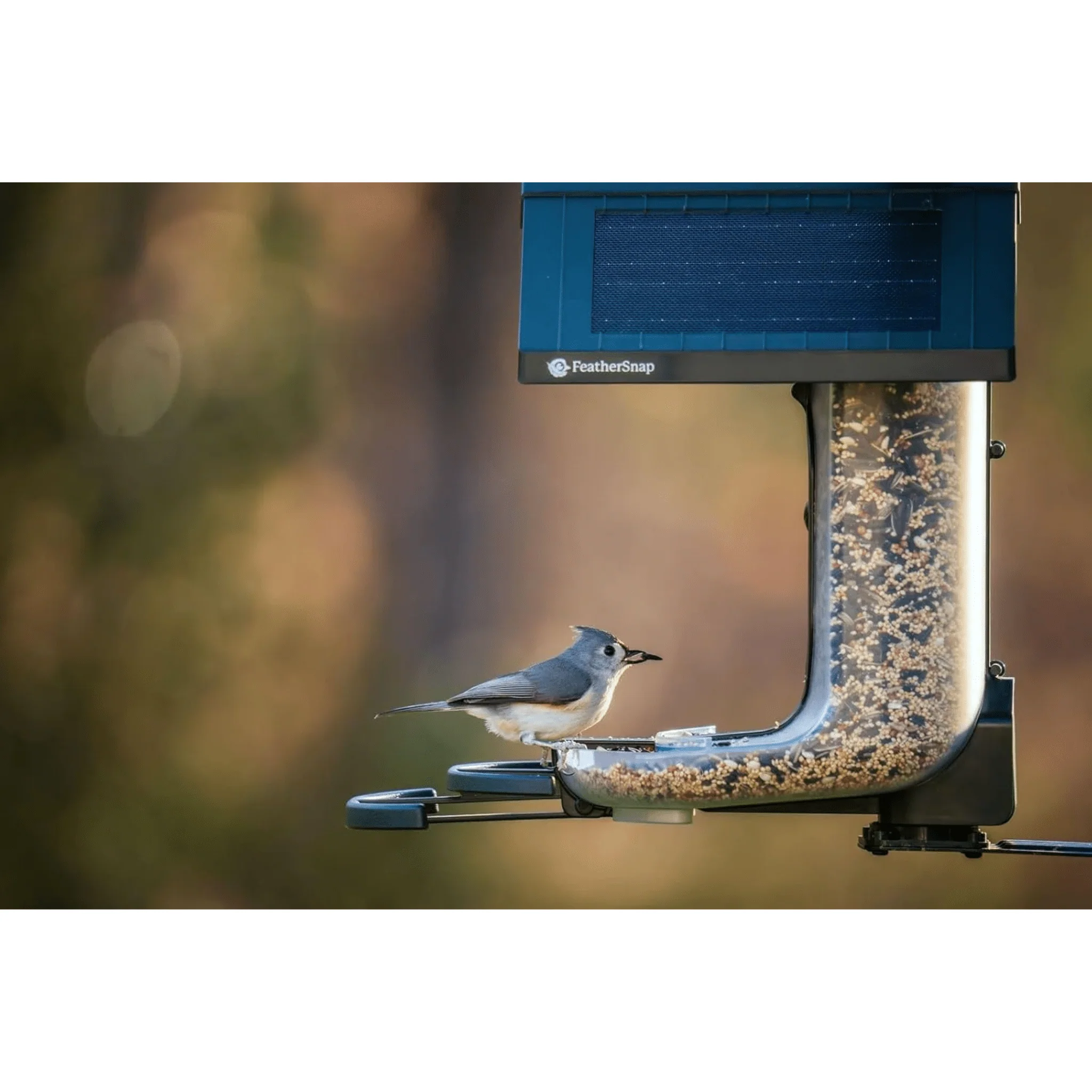 FeatherSnap Scout WiFi Solar Powered Smart Bird Feeder - Green - Image 7