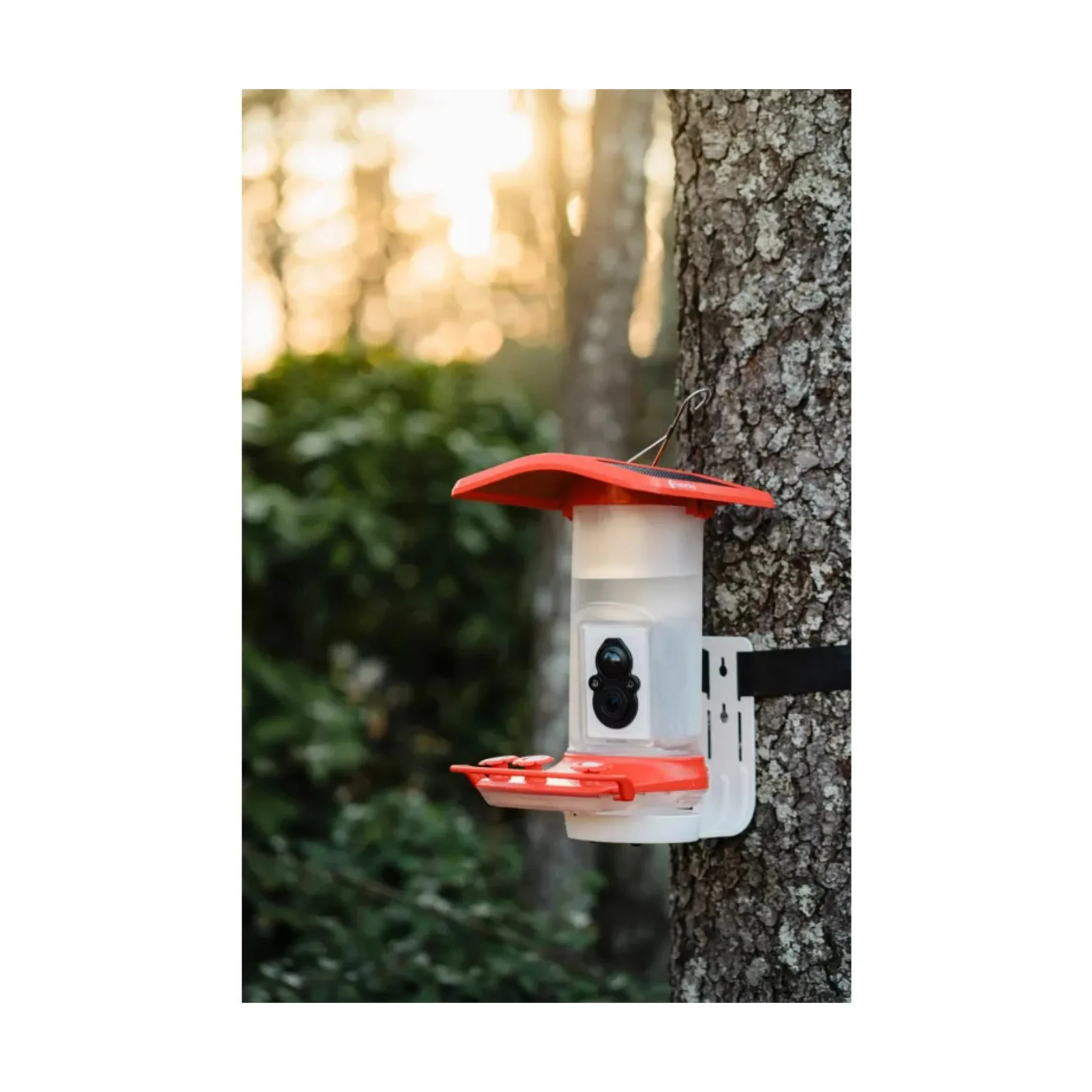 FeatherSnap Smart Hummingbird Feeder - Red - Image 3