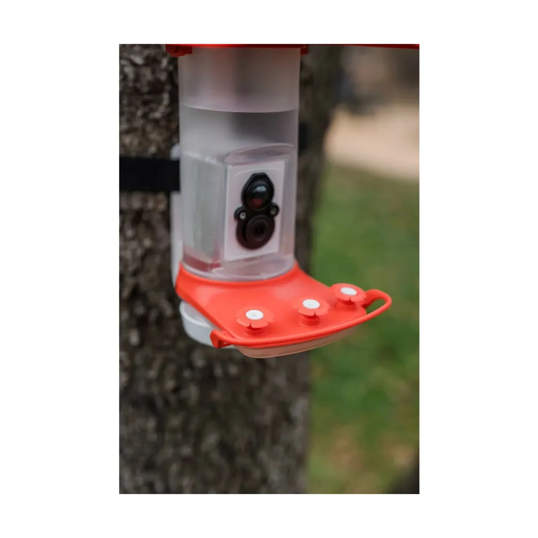 FeatherSnap Smart Hummingbird Feeder - Red - Image 5