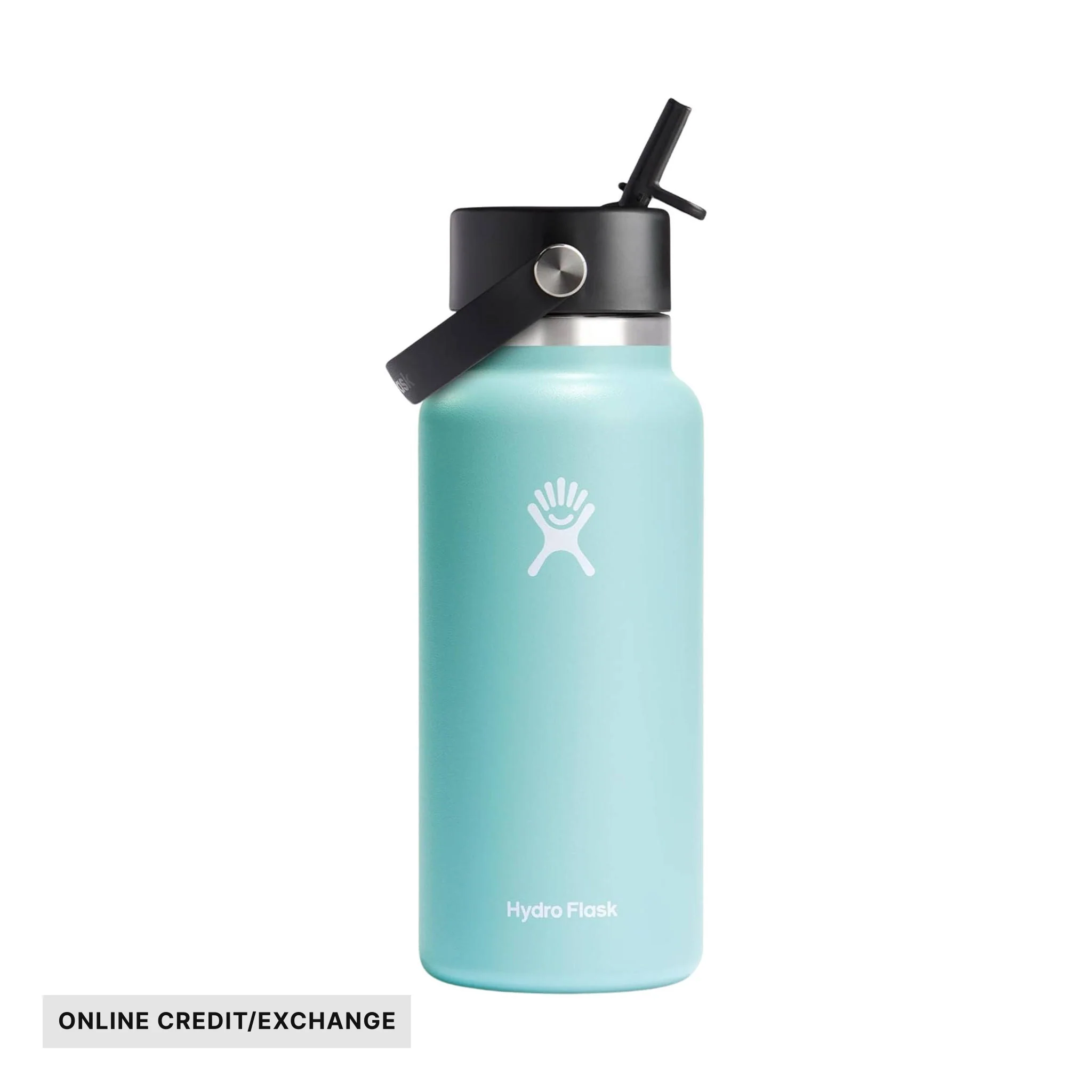 Hydro Flask 32 oz Wide Mouth With Flex Straw Cap - Dew