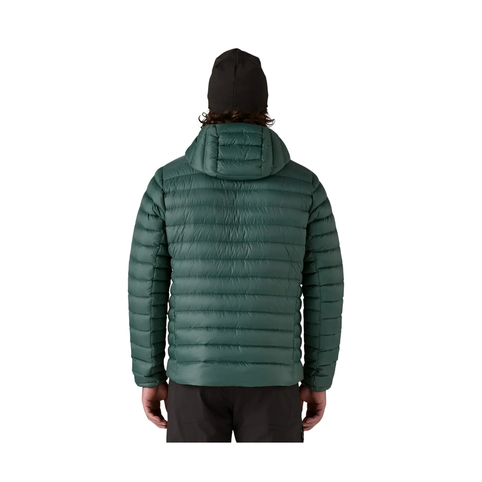 Patagonia Men's Down Sweater Hoody - Cascade Green - Image 3
